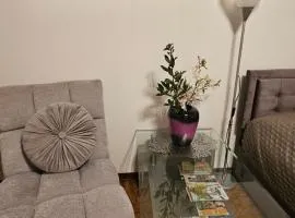 Ferienwohnung Bad Bergzabern