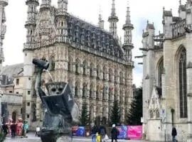 Cosy Boutique hotel leuven - self check in with airco !!!