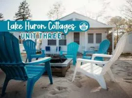 New renovated bathroom & new roof - Lake Huron 3