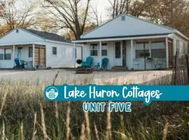 New renovated bathroom & new roof - Lake Huron 5