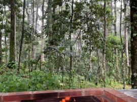 Villa Azul-Colibrí, Río Celeste, khách sạn ở Rio Celeste