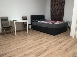 Comfortable 1BR & 1LR Apt Prime location of Vienna