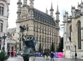 Cosy Boutique hotel leuven - self check in with airco !!!
