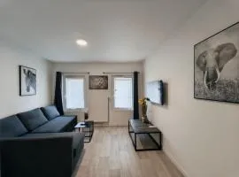 Grand Studio Lumineux Proche Centre-Ville