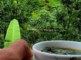 Daresh home stay, hotel in Maskeliya