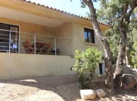 L'Ortu Di Pisettu -1