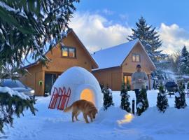Dream Home Pet-Friendly - Ogród 600m2, Las 10min, hotel in Polanica-Zdrój