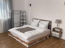 Bachner Rental Fagaras