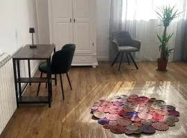 Bachner Rental Fagaras