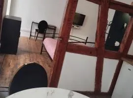 Le Gutenberg au coeur du marché de Noël de Strasbourg