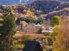 Forest view kazbegi
