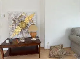Luxurious 2 bedroom appartment
