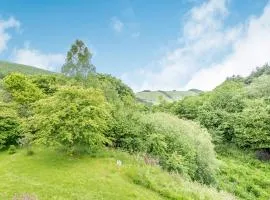 Cwmfron House