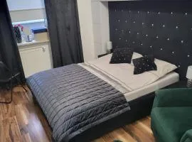 Apartament Brzozy