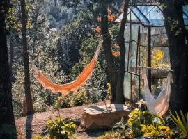 16Th Century Farmhouse Between The Tuscan Hills