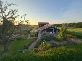 Vakantiehuis Noflik Nijemirdum