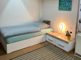 TONIS Room - WPA Apartments, hotel in Moosthenning