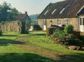 Orchard Cottage - a countryside stone cottage in a peaceful location
