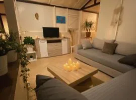 guyville house