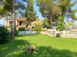 Casita de campo a 15 minutos de Toledo