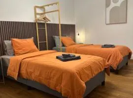 Work and Chill Apartment near Zermatt and Lonza