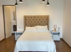 Boutique Vivero Lavanda