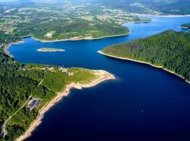 Muchatki domki z sauną