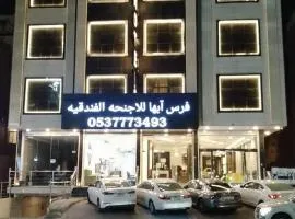فرس أبها حي الموظفين شارع البديع