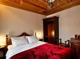 MetsoVillas στο κέντρο του Μετσόβου