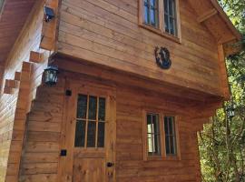 La Taniere du Renard, camping in Saint-Onésime