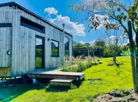 Tinyhouse au coeur d'un vignoble