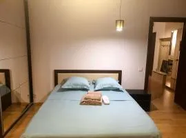 Băneasa apartment