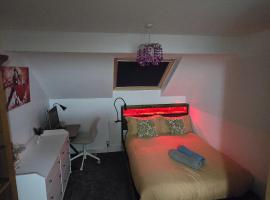 The Shinki House, hotel in Nottingham