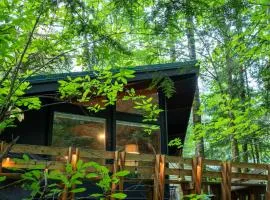 Mid-century Cabin Hideaway - Hot Tub & Fire Pit