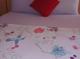 Yana House