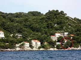 Apartments and rooms by the sea Sobra, Mljet - 4888