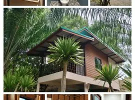 Modern Tor Tao camp
