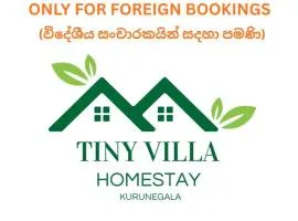 Tiny Villa Homestay - Only For Foreign Bookings
