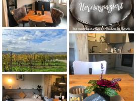 das moselquartier terlinden, pet-friendly hotel in Besch