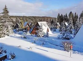 Holiday Home Tennenbronn-5 by Interhome