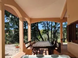 Villa Mammaré