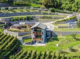 Holiday Home Woodhouse Domaso by Interhome