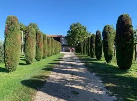 Agriturismo Corte Bonetti - Appartamento Il Platano