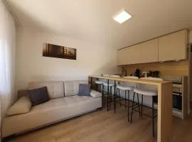 Zartenbach Suite Two