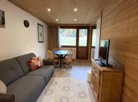 Studio divisible, ski aux pieds, vue sur pistes - FR-1-181-2677