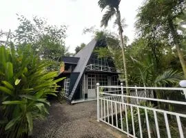 The Stellar By Stayzi