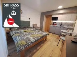 Modern Alpine Apartment Corso Harrachov