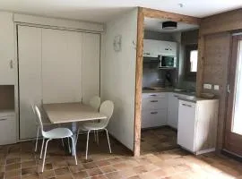 Studio 4 pers, skis aux pieds, lave-vaisselle, lave-linge, balcon - FR-1-572-299