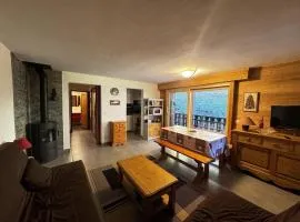 Spacieux 2 Pièces aux Carroz, 6 Pers., Balcon ensoleillé - FR-1-572-9