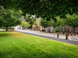 Dromroe Village University of Limerick